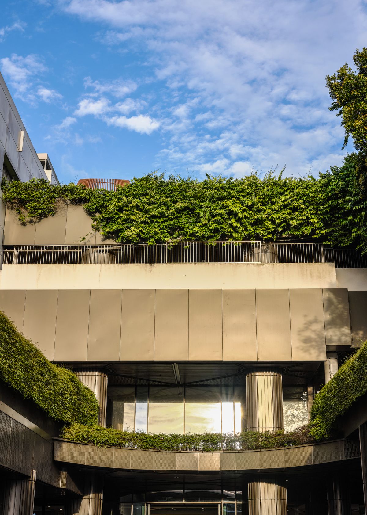 Vertical Gardens — Afloraa