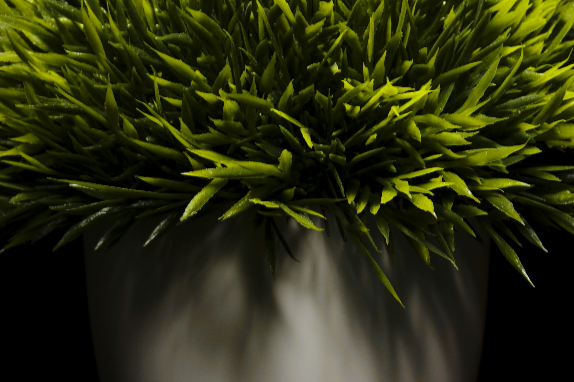 Artificial Grass & Turf — Afloraa