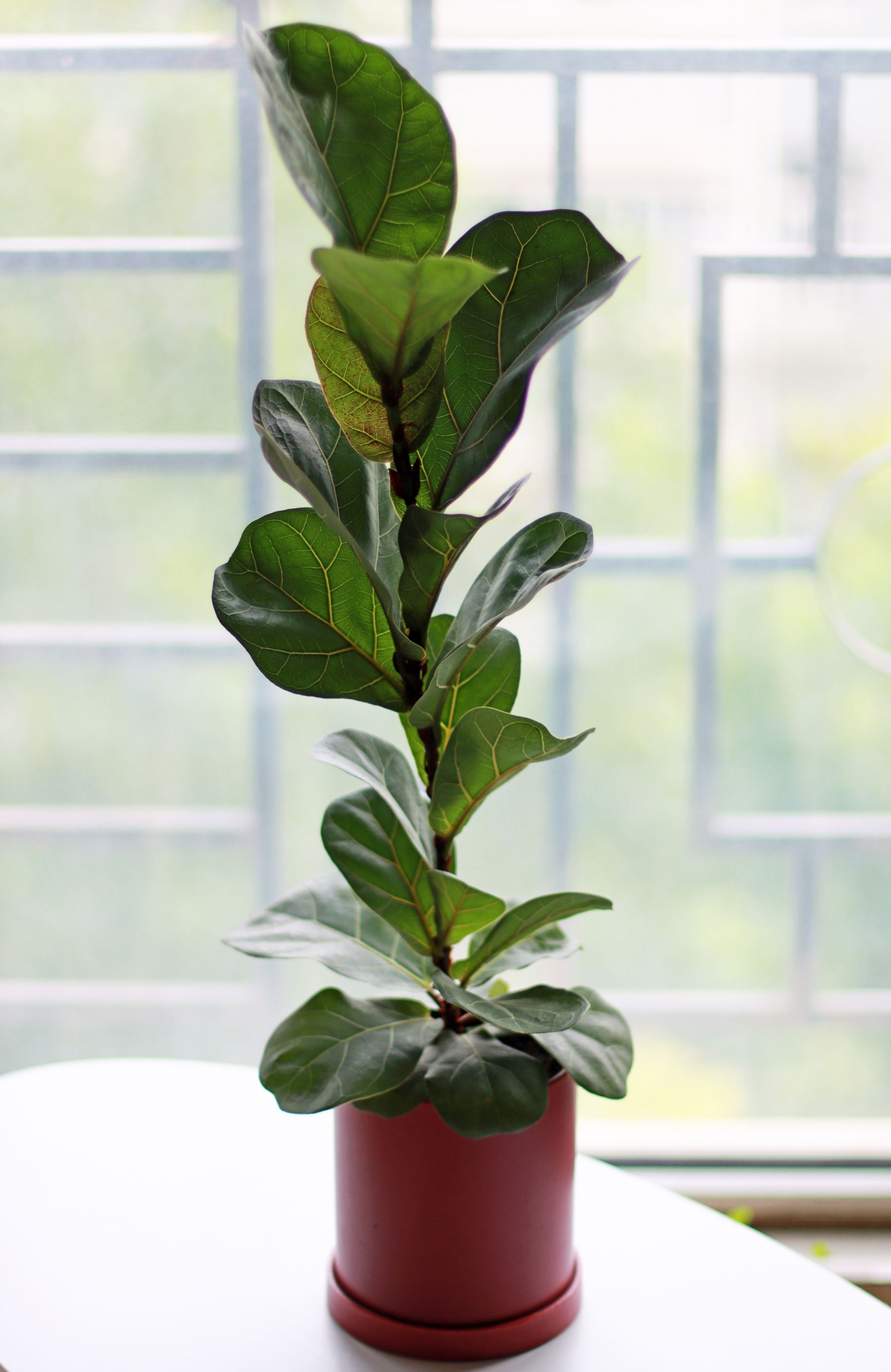 Styled interior with large artificial floor plants