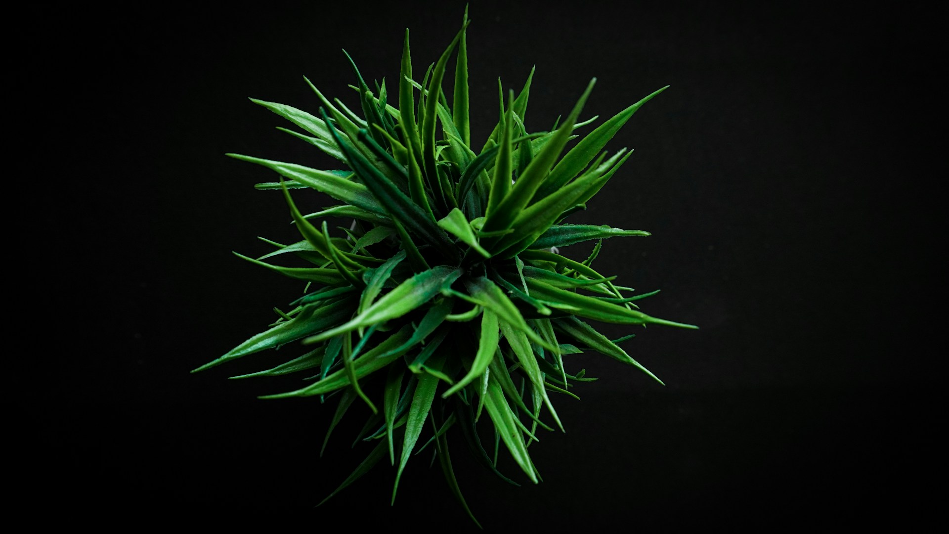 Mini artificial succulent plant for desk and office table decor
