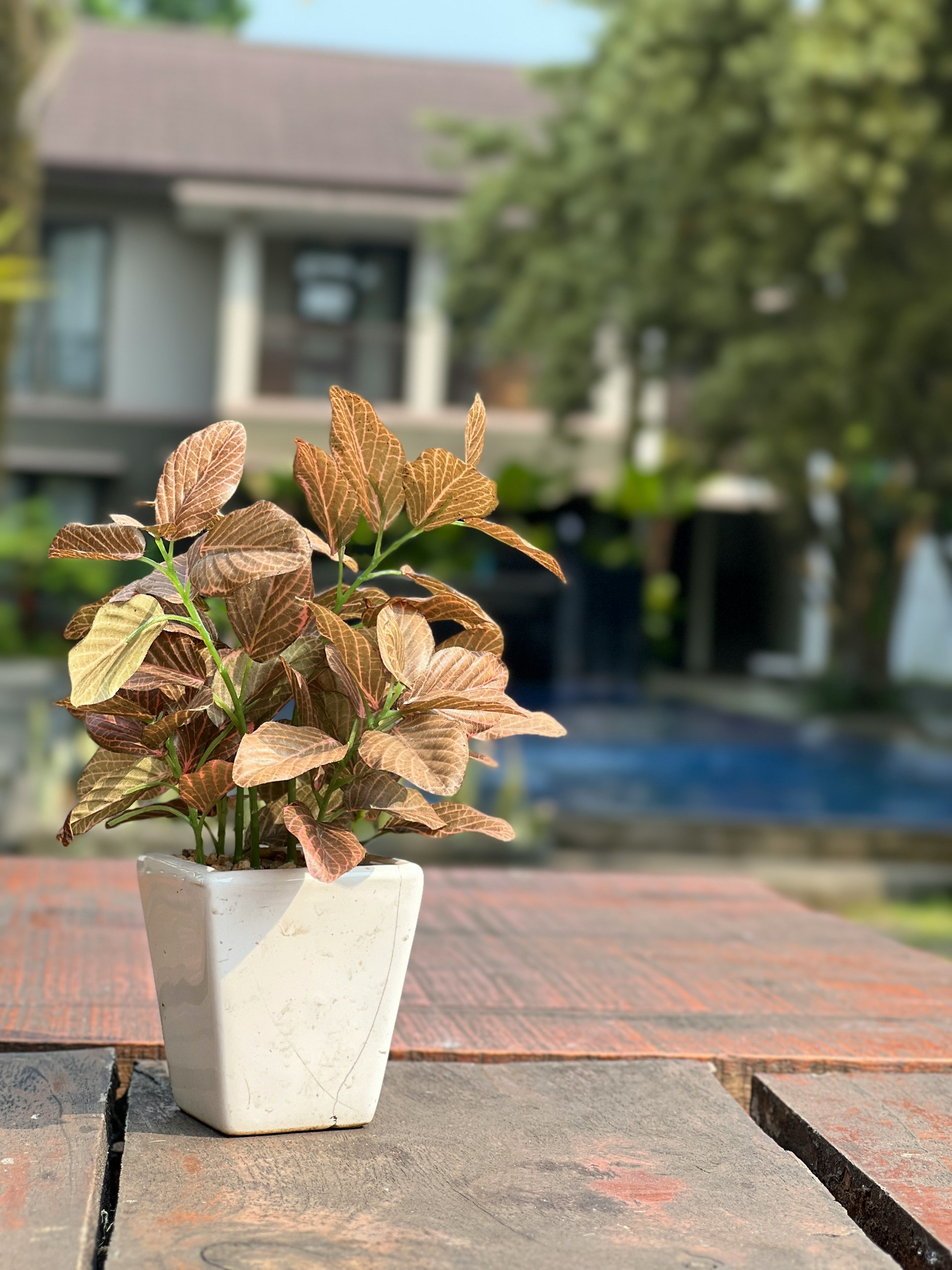 Artificial Plants — Afloraa