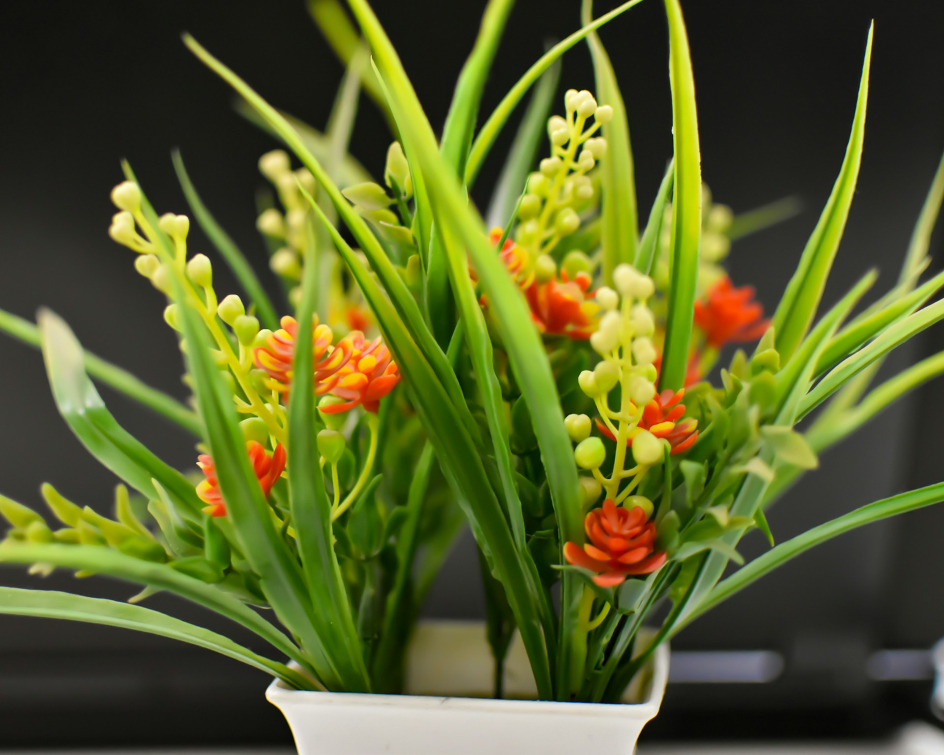 Artificial greenery by Afloraa