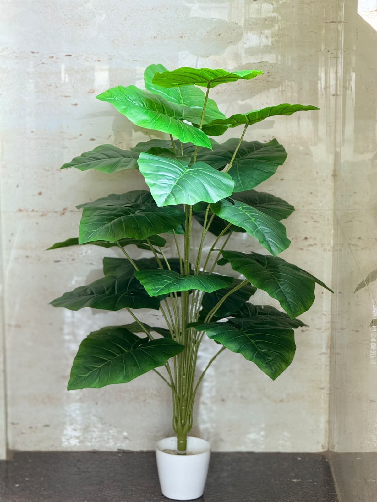 Artificial Alocasia Plant