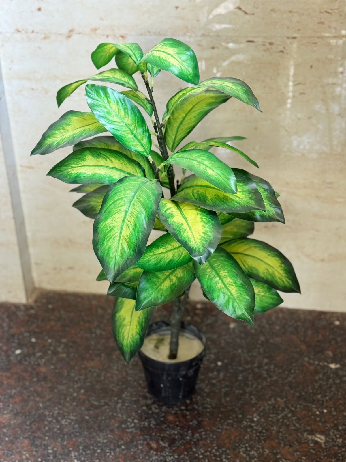 Artificial Dieffenbachia Plant
