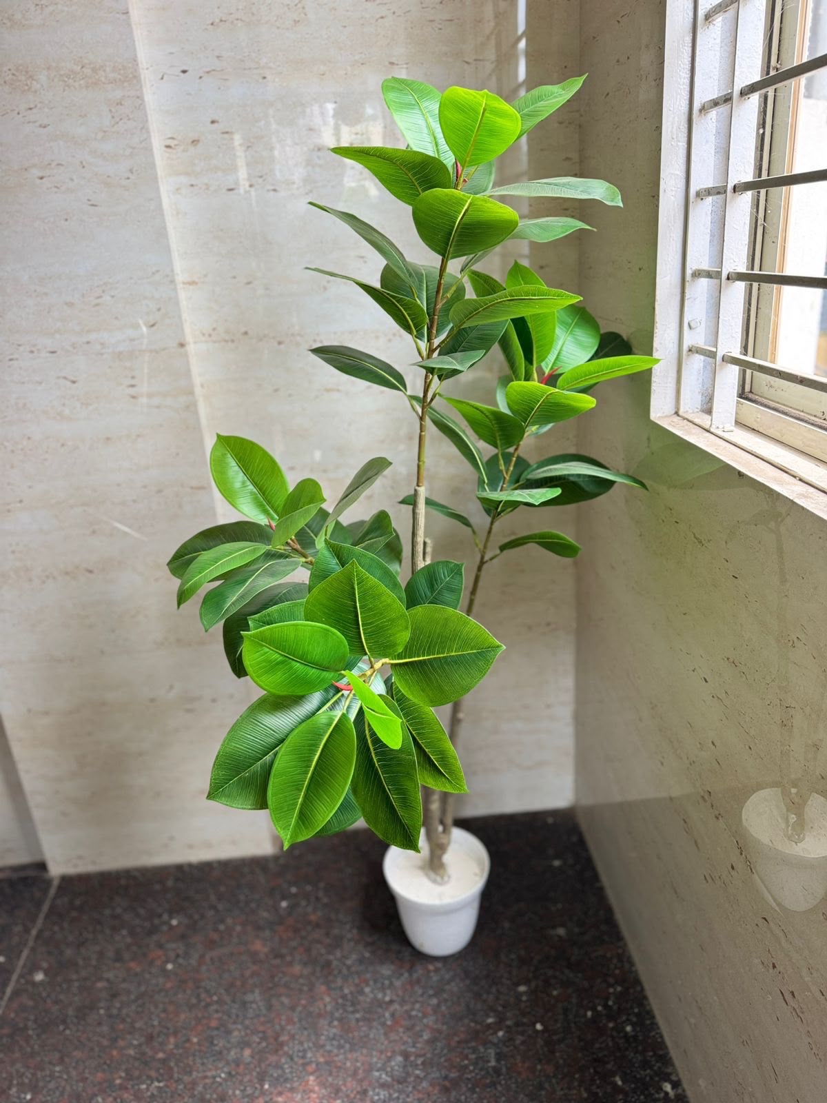 Artificial Ficus Tree