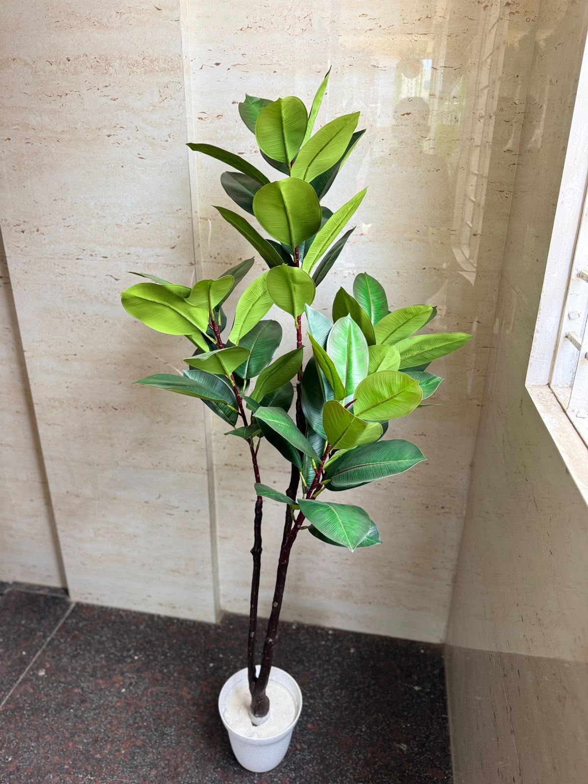 Artificial Rubber Plant (Ficus Elastica)