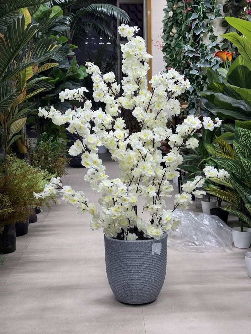 Afloraa: Blossom Canopy White