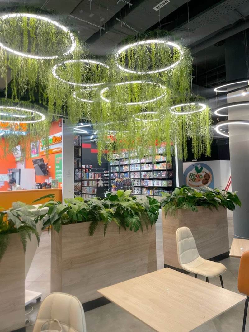 Cafe interior with hanging greenery rings by Afloraa