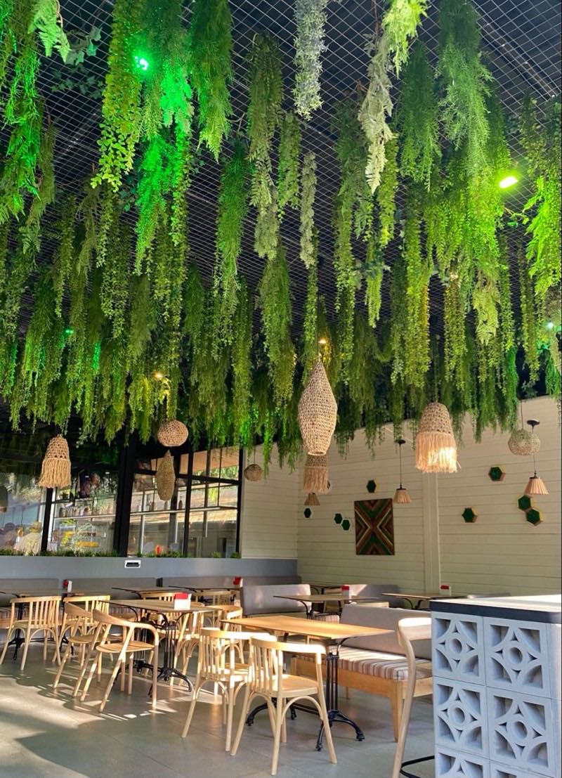 Afloraa: Ceiling Greenery