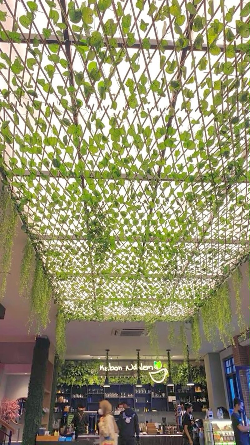 Afloraa: Creeper Canopy