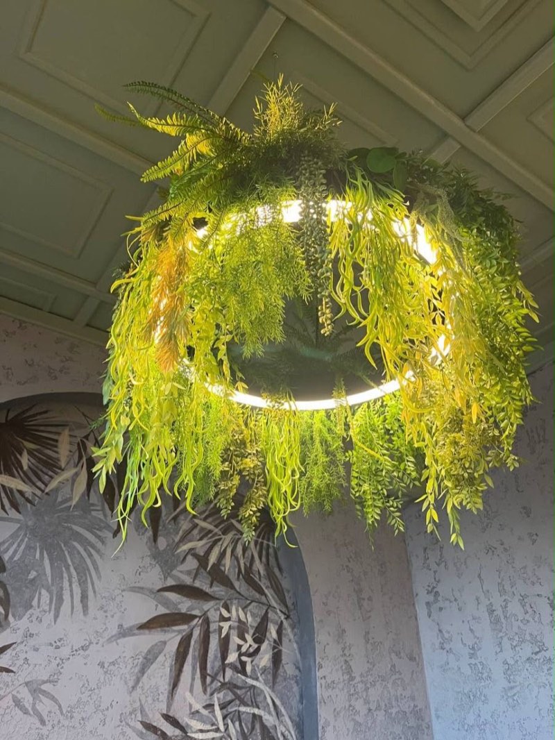 Afloraa: Fern Ring Light