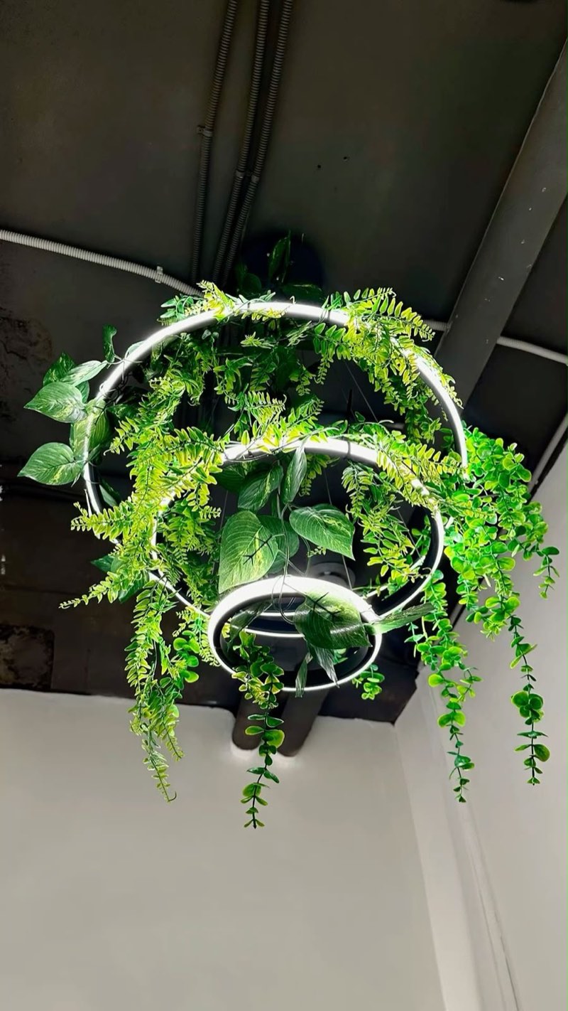 Afloraa: Greenery Chandelier