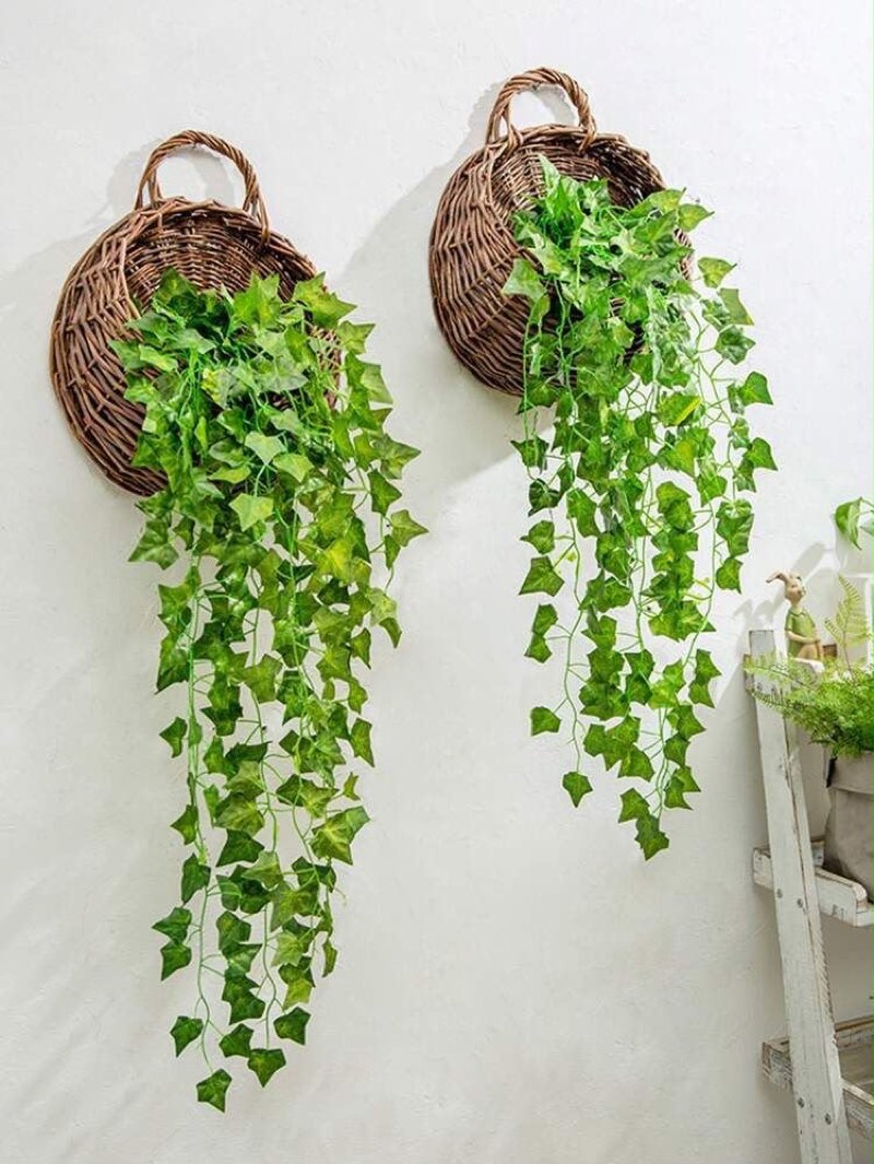 Afloraa: Ivy Wall Baskets