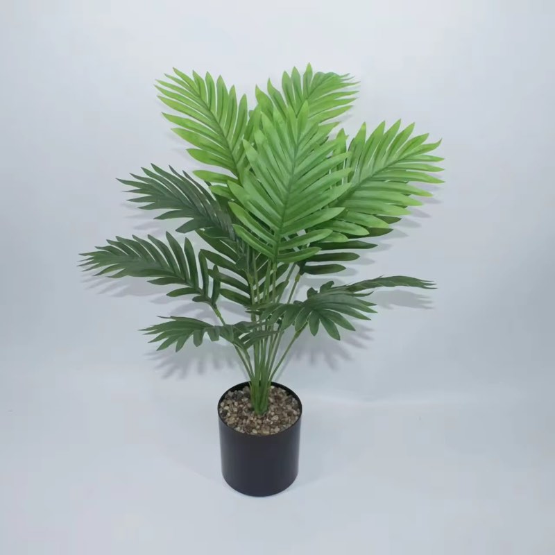 Afloraa: Mini Palm Pot