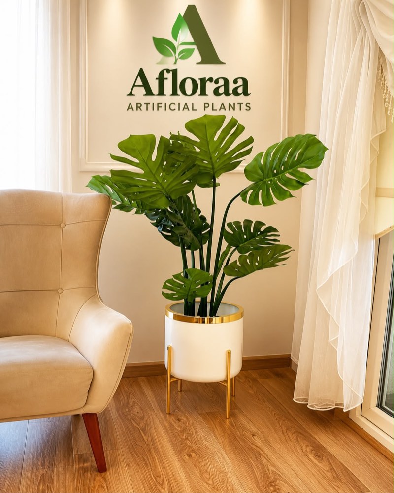 Afloraa: Monstera White Planter