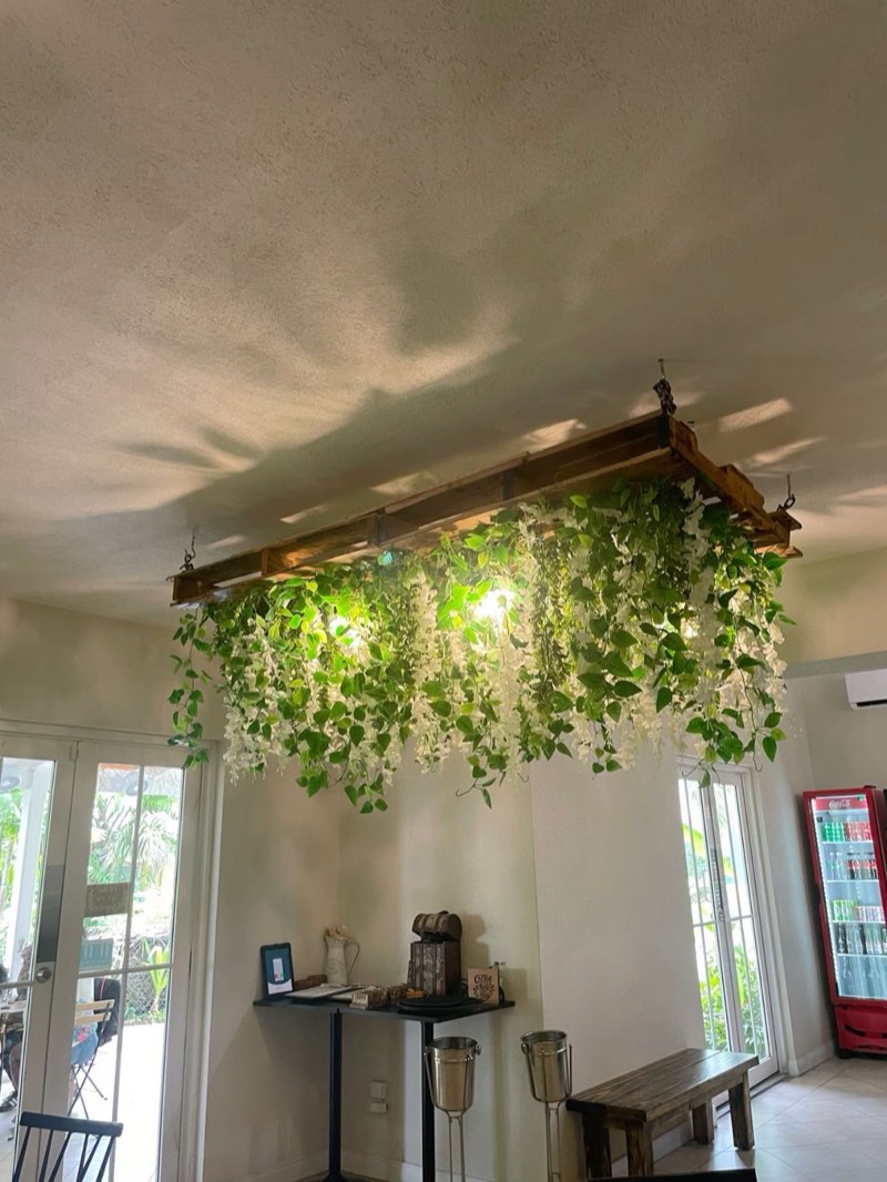 Afloraa: Nv Hanging 14