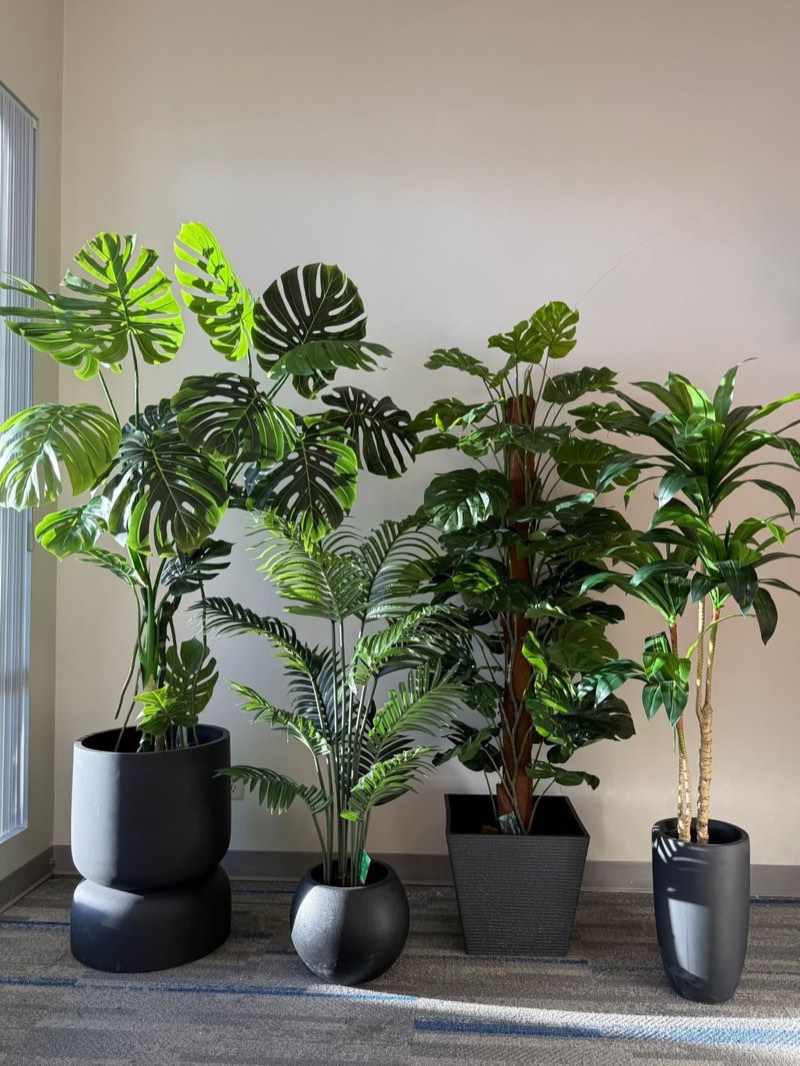 Afloraa: Green wall installation