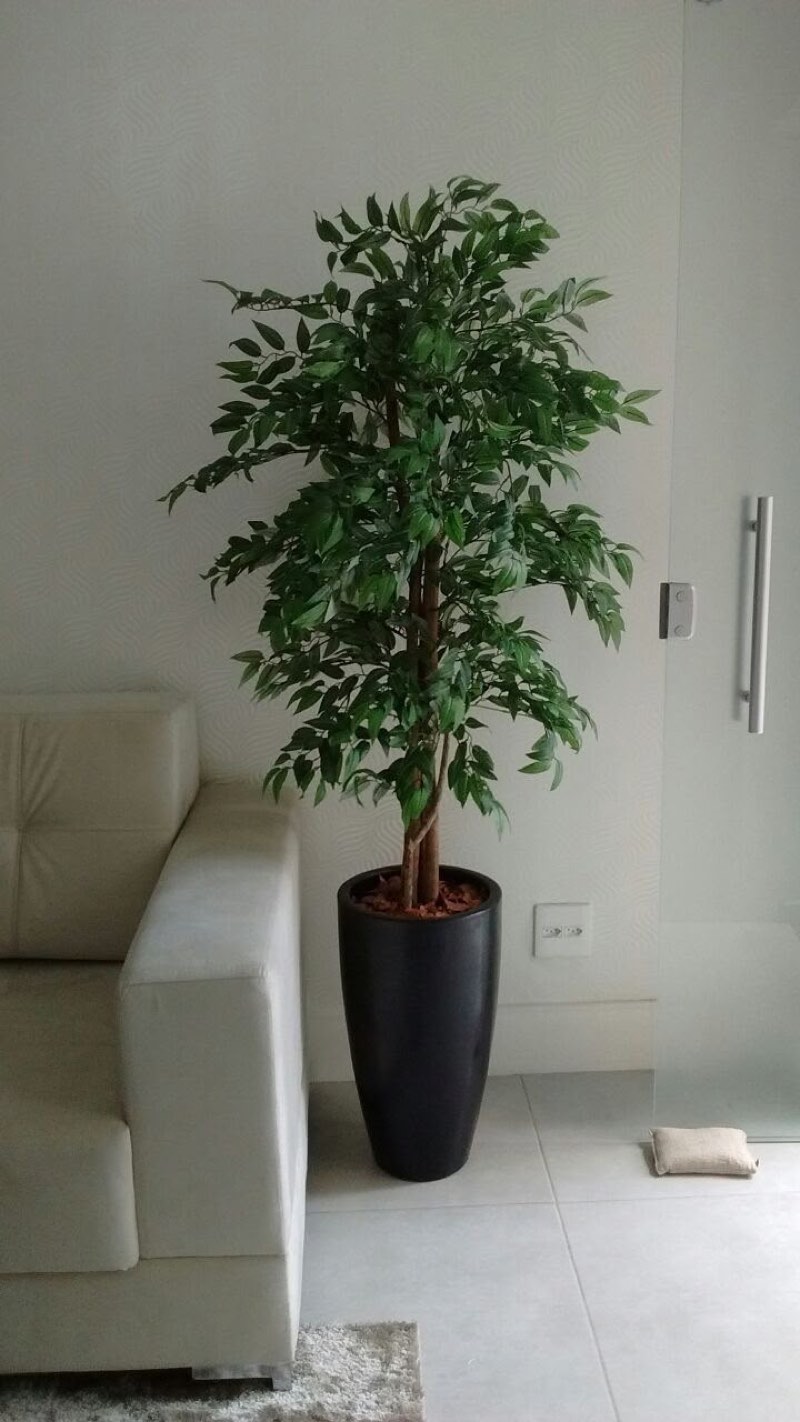 Afloraa: Pots and Planters