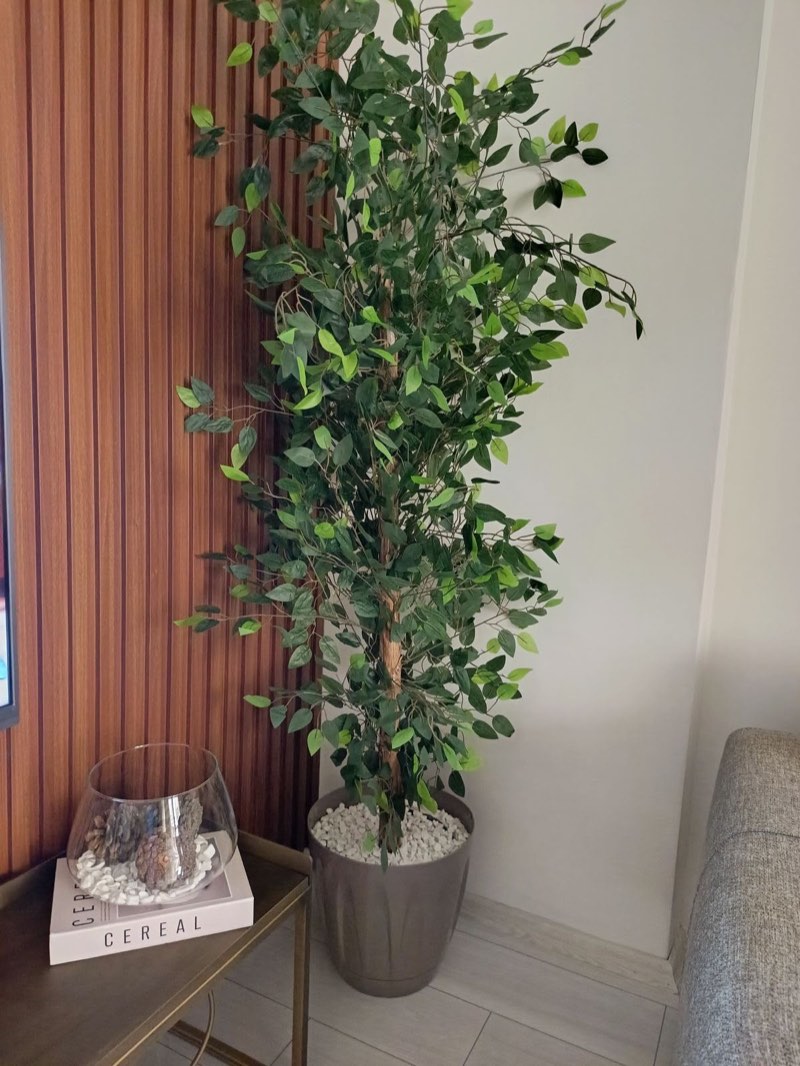 Afloraa: Bamboo poles and clusters