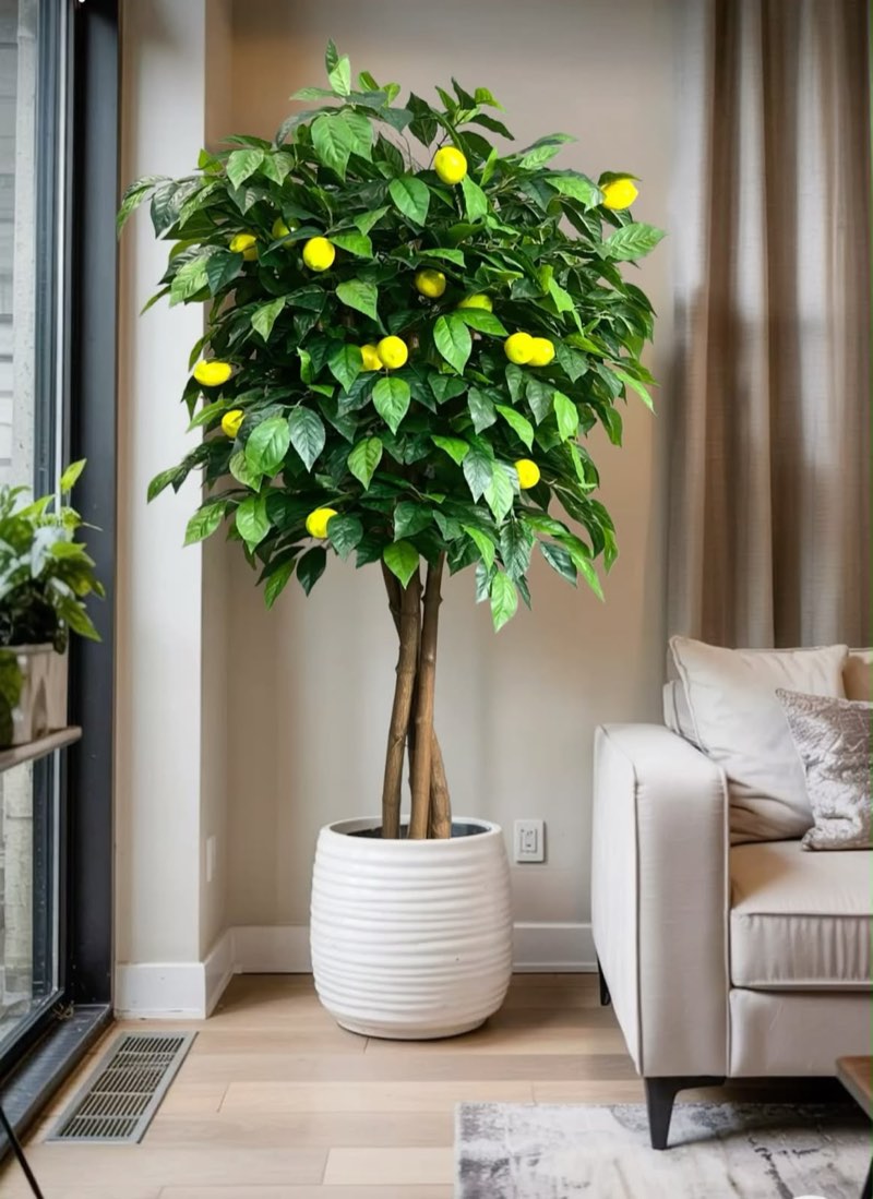 Artificial plant by Afloraa