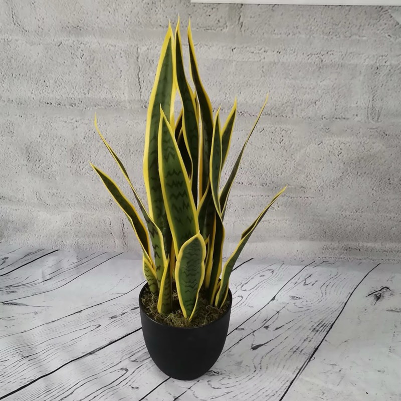 Afloraa: Snake Plant Pot