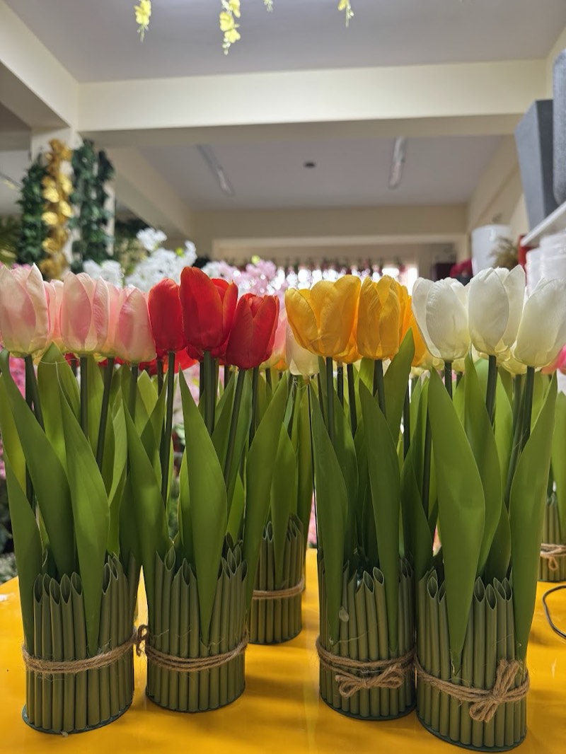 Afloraa: Tulips Stems