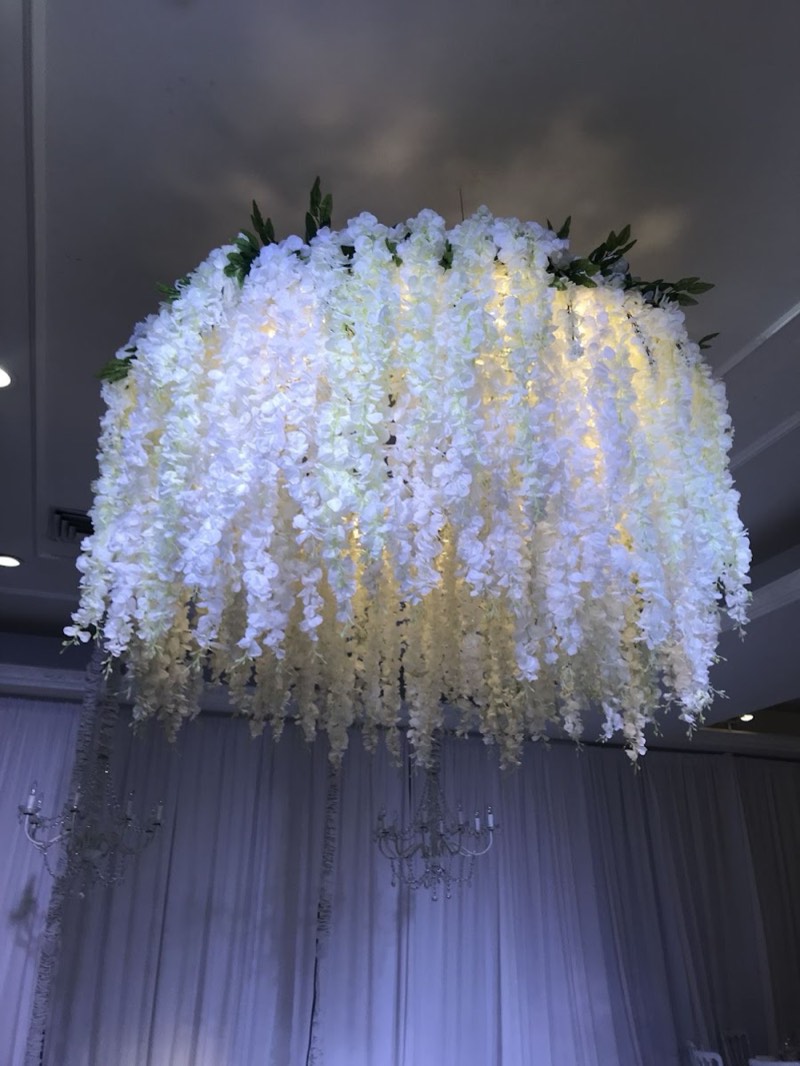 Afloraa: Wisteria Hanging